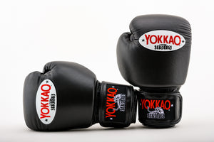 Consigli su acquisto Guantoni da Boxe e da Kick Boxing
